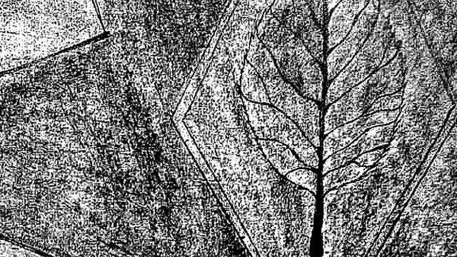 cruiser aurora - я больше не хочу видеть себя, никогда (2014) смотреть онлайн