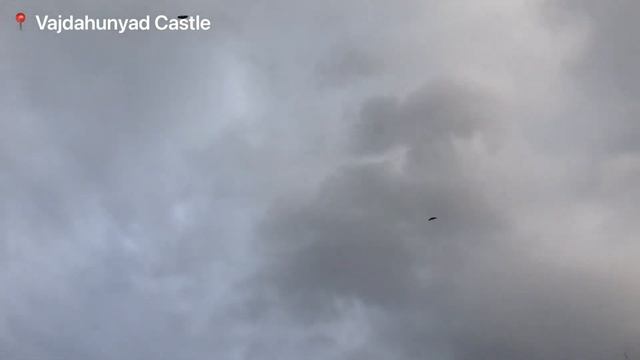 Budapest Vlog // Budapest Business School, Vajdahunyad Castle, Margaret Island. (Vlog Ep. 10)