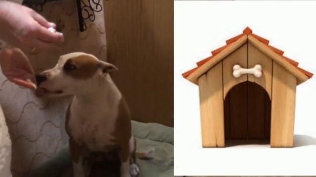 Детская песенка 