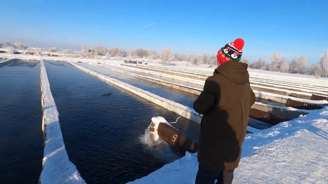 Ловля форели зимой,семейный отдых,рыбалка для всех!от таких поклёвок захватывает дух! смотреть онлайн