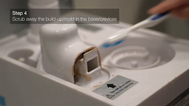 How To Clean Your Levoit/Taotronics Humidifier Using Bleach смотреть онлайн