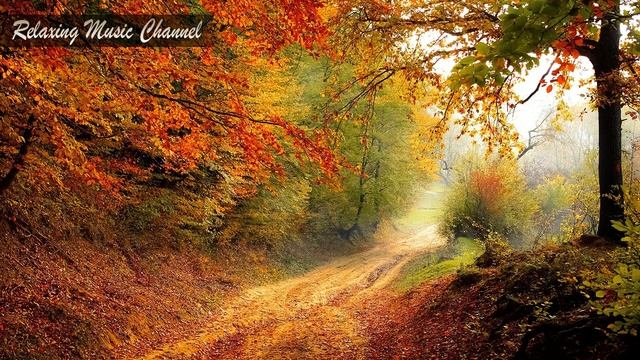 Хорошая Успокаивающая Музыка для Релаксации Медитации и Лечения Нервов: Музыка для Крепкого Сна смотреть онлайн