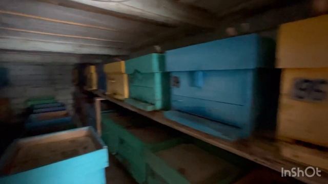 Как зимуют пчёлы на Урале смотреть онлайн