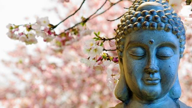 Spring Spirit | Vitalizing Meditation смотреть онлайн