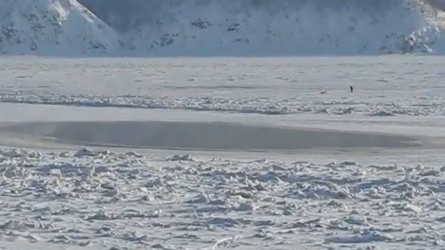 Странная полынья смотреть онлайн