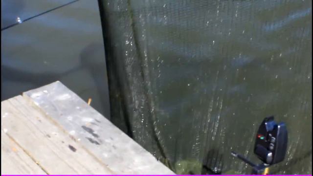 Летний отдых 2016 (Дубешня) смотреть онлайн