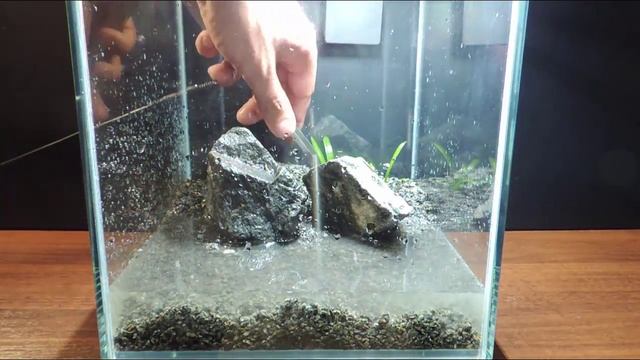 Запуск аквариума 10л. Часть вторая. Грунт. Камни. Растения. Вода. смотреть онлайн