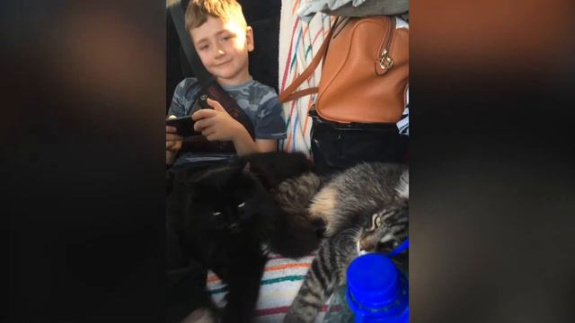 Мой мир! смотреть онлайн