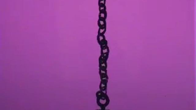 Ноев ковчег/Arche Noah (2008)