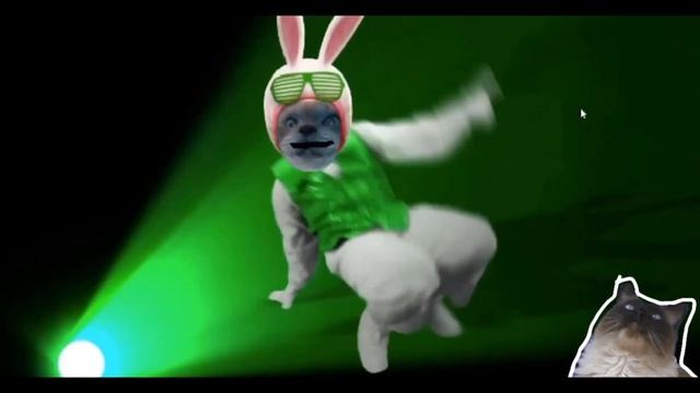 Easter bunny boogie - Living with Ragdolls! смотреть онлайн