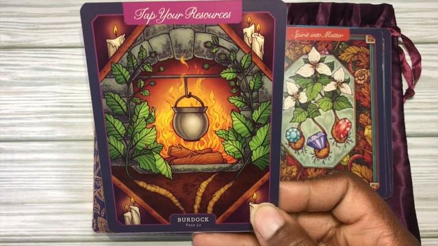 The Illustrated Herbiary Collectible Box Set | Oracle Walkthrough | My Tarot Club #tarot #oracle смотреть онлайн