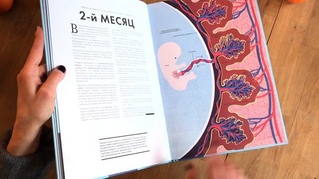 Книга РОЖДЕНИЕ смотреть онлайн