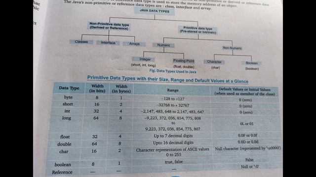 Data Types & Default Values In JAVA | ICSE/ISC CLASS 9&10 | JAVA FULL COURSE | LECTURE 7 смотреть онлайн