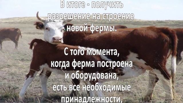 Разведение скота. Бизнес идея смотреть онлайн