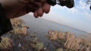 Ловля КРУПНОГО карася весной на фидер 2021. Рыбалка на крася в апреле - мае