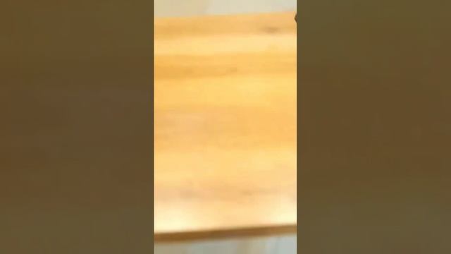 М9. полный обзор мини дома на канале, подпишись! модульные дома в скандинавском стиле смотреть онлайн