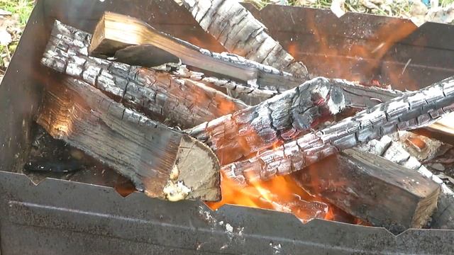 Весенняя ножка на шампуре. смотреть онлайн