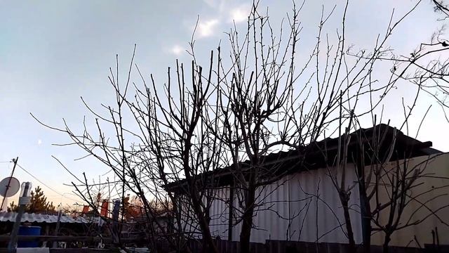Ребра на мангале, картошка по селянски в духовке. Готовим сами. смотреть онлайн
