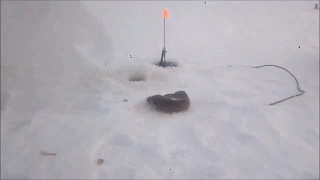 ловля налима на жерлицы декабрь 2019 Чермоз смотреть онлайн