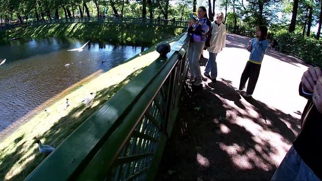 Экскурсия по Санкт-Петербургу. 19.06.22. часть 4. заключительная. смотреть онлайн