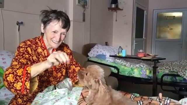 Нина Васильевна и собака Дуня — в хосписе смотреть онлайн