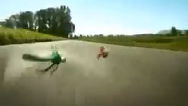 Minuscule The Big Race смотреть онлайн