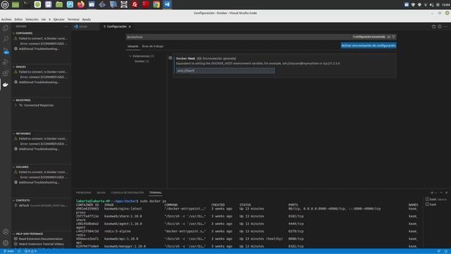 Integrar Visual Studio Code con Docker en Linux Mint смотреть онлайн