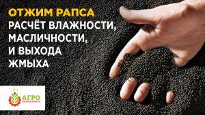 Отжим масла рапса. Особенности технологии производства.