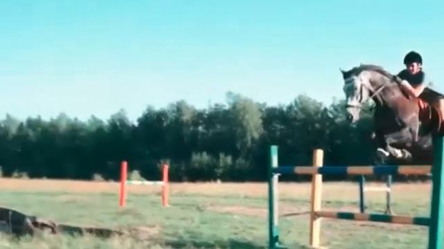 Конноспортивная секция в Данкове - конный клуб Конный двор смотреть онлайн