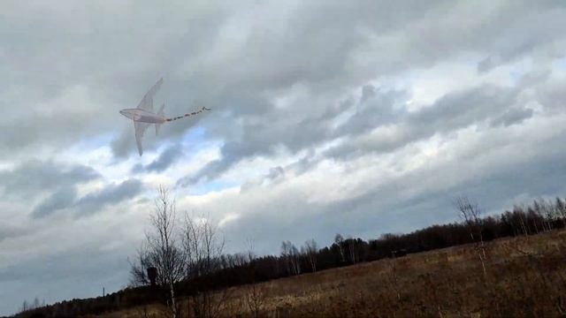 Большой самолет, воздушный змей раскраска смотреть онлайн