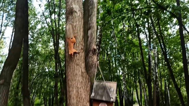 Мы в Рязани