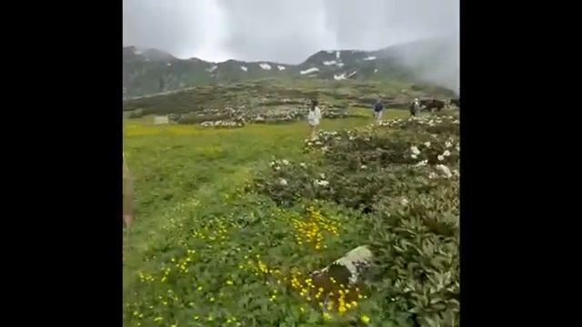 ПВД Бзерпинский карниз - г. Табунная - пик Бзерпи - пос. Эсто-Садок смотреть онлайн