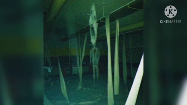 The Reflection ( Отражение). Trevor Henderson Universal.