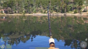 Троф Форель радужная  10.247кг. Русская рыбалка 4.Куори.