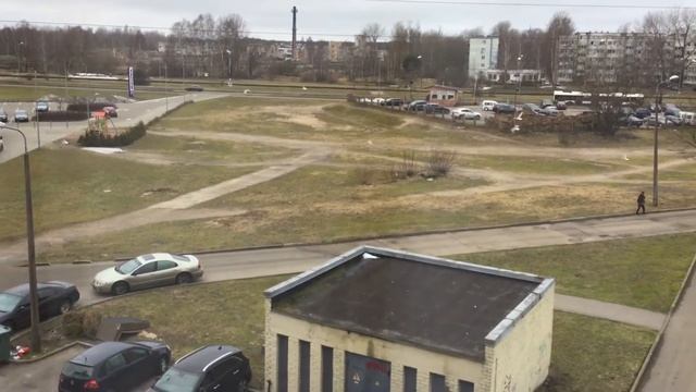 Вот какими стаями летают чайки и кричат. смотреть онлайн