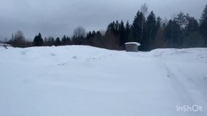 Новый вездеход на Шинах форестер едет везде