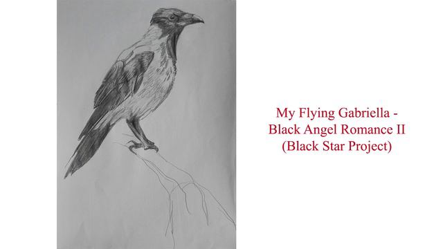 My Flying Gabriella - black angel romance II (black star project) смотреть онлайн