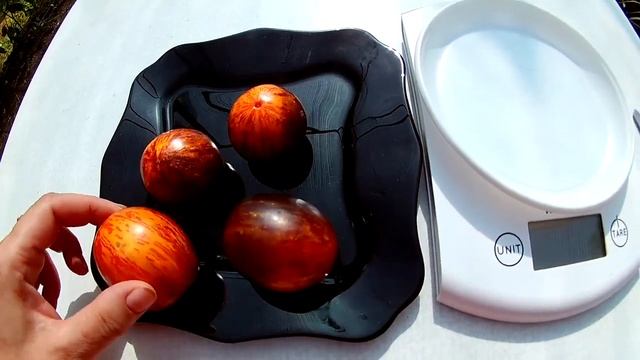 Томат - Gargamel (Гаргамель) смотреть онлайн