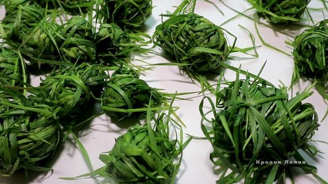 Простая игрушка для кроликов и грызунов/ Грустные новости / квесты от кролика смотреть онлайн