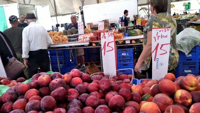 Рынок в Израиле.Рыбки в зоомагазине. смотреть онлайн