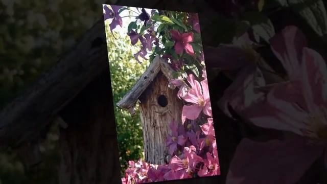 Необычные скворечники