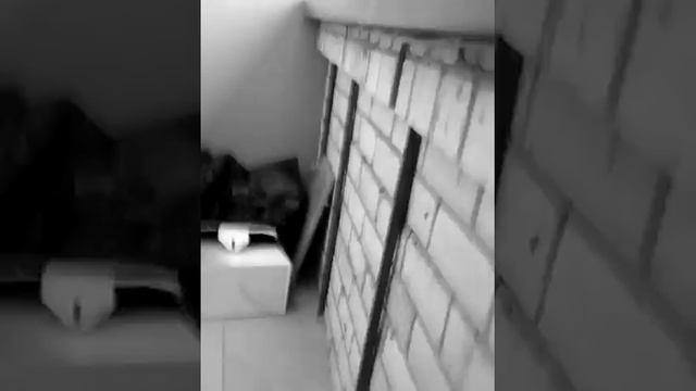 Называется что Ангелина осталась одна дома!!! смотреть онлайн