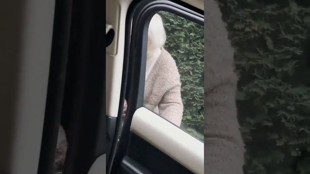 NPC Old lady wants you to wash your car смотреть онлайн