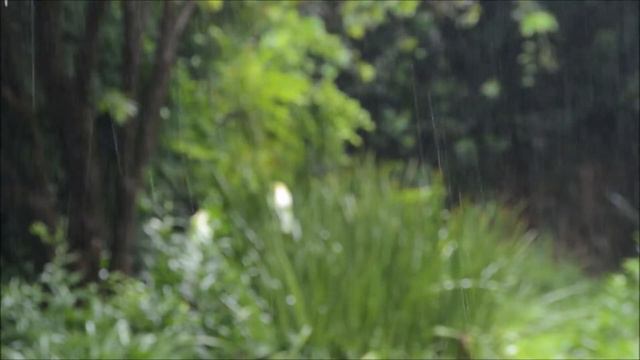 Места Писания во время кризиса. Пастор Вадим Сидоренко