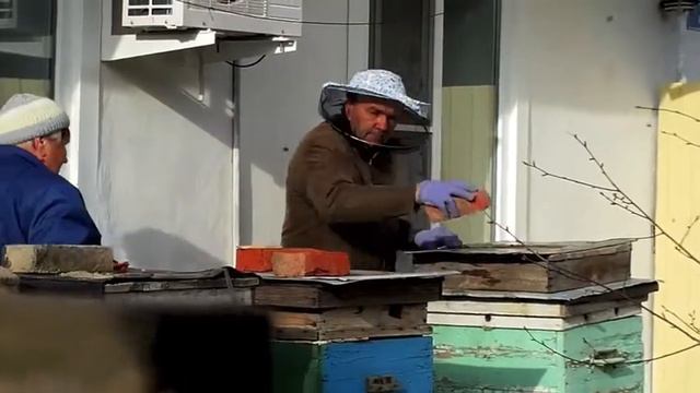 Пчёла смотреть онлайн