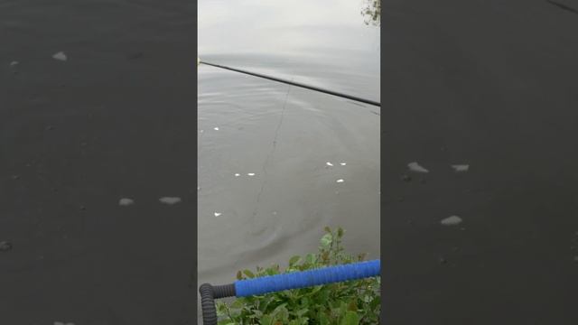 ??Pêche à vue ?? смотреть онлайн