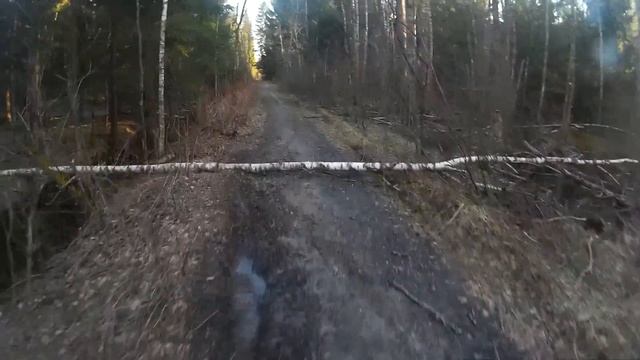 Racer Forester RC200LT #2 смотреть онлайн