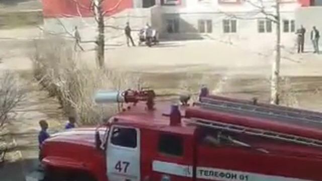Как снимать кота с дерева смотреть онлайн
