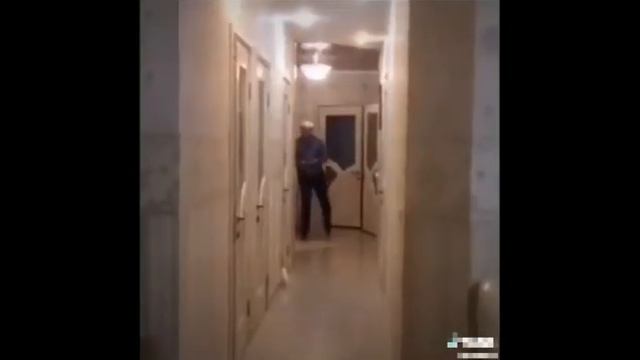 Кот Киселечек//2020//батя и кот на роликах смотреть онлайн