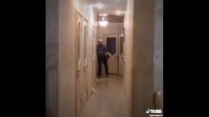 Кот Киселечек//2020//батя и кот на роликах